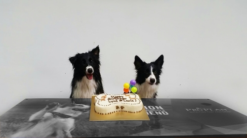 Our birthday party!