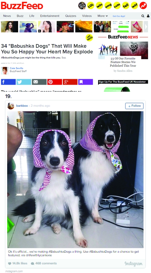 Featured on Barkbox and Buzzfeed.