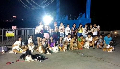 Halloween party with DogsOfInstaSG